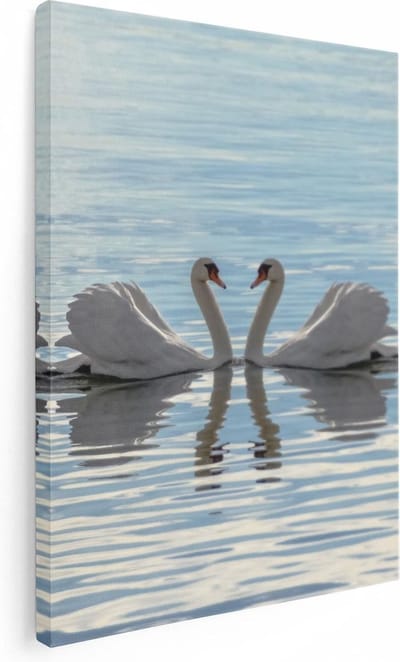 Artaza Canvas Schilderij Zwaan - 30x40 cm - Klein - Wanddecoratie Vogels - Muurdecoratie Hart - Kamer Accessoires Water