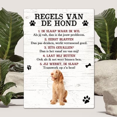 Spreuken - Spinone Italiano - Regels Van De Hond - Spreuken Bordjes - Spreukenbord - Tekstborden - Cadeau - Hondenras