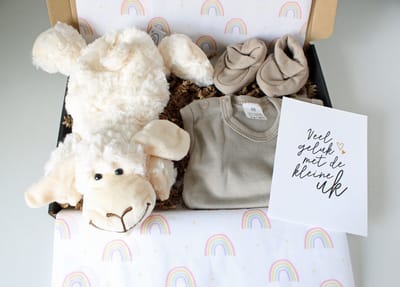 Brievenbus cadeau Knuffel Schaap - cadeau baby - kraamcadeau