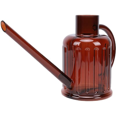Gieter met Lange Tuit 1000ml Plastic Afneembaar Binnenplant Gieter voor Huis Tuin Bloem Type 2