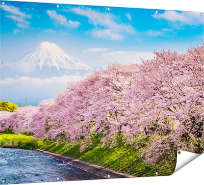Gards Tuinposter Roze Bloesembomen bij de Fuji Berg - 160x120 cm - Tuindoek - Tuindecoratie - Wanddecoratie buiten - Tuinschilderij