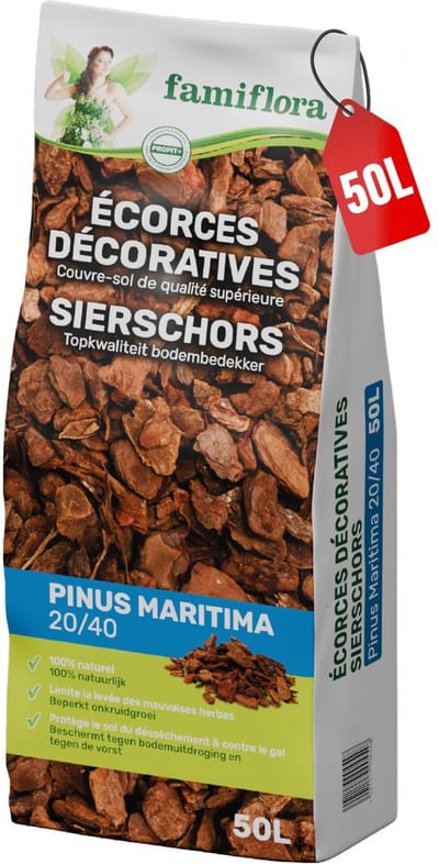 Famiflora sierschors 'Pinus Maritima' 20/40 - 50 l