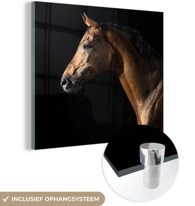 MuchoWow® Glasschilderij 90x90 cm - Schilderij acrylglas - Paard - Dieren - Nacht - Zwart - Foto op glas - Schilderijen