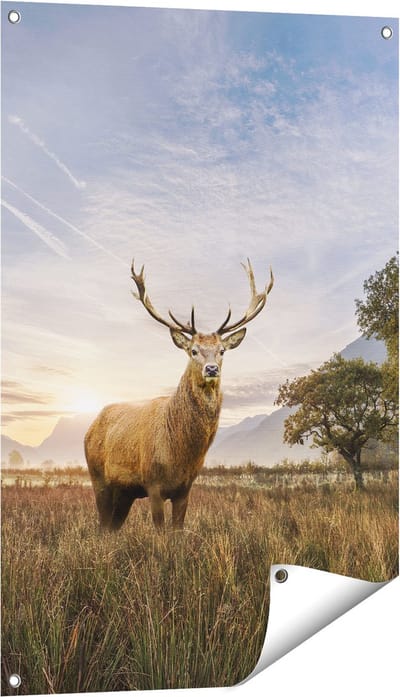 Gards Tuinposter Hert in het Landschap - 60x90 cm - Tuindoek - Tuindecoratie - Wanddecoratie buiten - Tuinschilderij