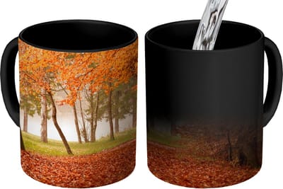 Magische Mok - Foto op Warmte Mokken - Koffiemok - Bladeren - Herfst - Bos - Magic Mok - Beker - 350 ML - Theemok