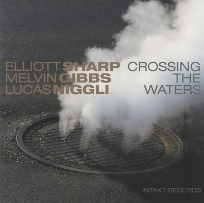 Elliott Sharp, Melvin Gibbs, Lucas Niggli - Crossing The Waters (CD)