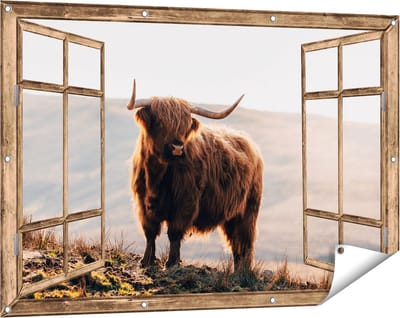 Gards Tuinposter Doorkijk Schotse Hooglander in de Heuvels van Schotland - 120x80 cm - Tuindoek - Tuindecoratie - Wanddecoratie buiten - Tuinschilderij