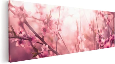 Artaza Canvas Schilderij Bloemen - 60x20 cm - Wanddecoratie Bloesem - Muurdecoratie Roze - Kamer Accessoires