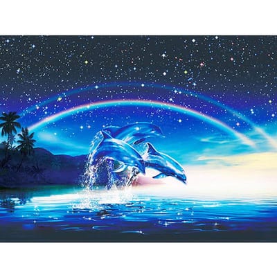 Diamant peinture dessin animé Animal dauphin et arc-en-ciel point de croix diamant mosaïque artisanat diamant broderie 20X30CM blue