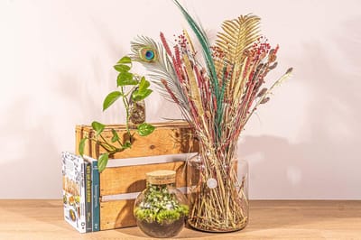 Green Harmony - Droogbloemen boeket - Christmas Gold - Droogboeket - 70 cm