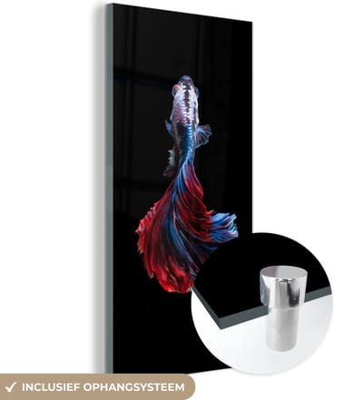 MuchoWow® Glasschilderij 20x40 cm - Schilderij acrylglas - Vis - Staart - Zwart - Foto op glas - Schilderijen