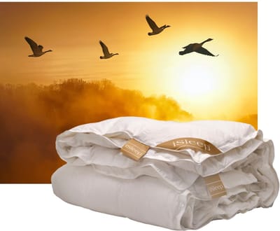 iSleep Gold Donzen 4-seizoenen dekbed - 100% Dons - Ganzendons - Eenpersoons - 140x200 cm