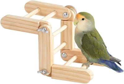 Houten Vogel Ladder - Klimspeelgoed Kooien - Stimuleert Beweging - Verstelbare Hoek - 20 x 10 x 10 cm