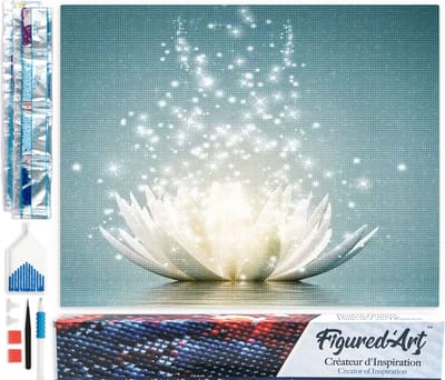 Figured'Art Diamond Painting set Volwassenen 40x50 cm Magisch licht - 5D DIY Art full drill vierkante diamant - Opgerold canvas