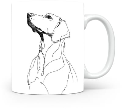 Beker Schillerstövare (Schiller Hound)