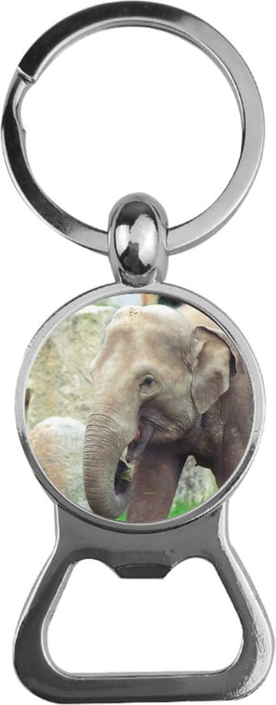 Bieropener Glas - Olifant