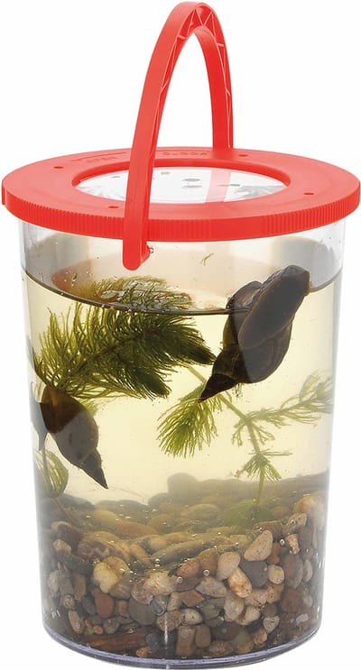 Eduplay vergrootglas beker - educatief speelgoed natuur ontdekken.