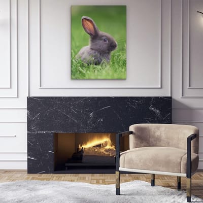 Artaza Canvas Schilderij Konijn - 60x80 cm - Wanddecoratie Dieren - Muurdecoratie Woonkamer - Kamer Accessoires Baby Konijn