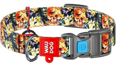 WAUDOG Glamourous Skulls Halsband / Hondenhalsband - Nylon - Gratis QR-tag - S - Breedte: 20 mm - Nekomtrek: 24 - 40 cm (GELIEVE ALVORENS BESTELLEN OPMETEN)