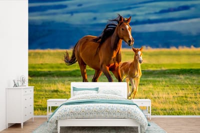 Behang kinderen - Muurdecoratie kinderkamer - Paarden - Natuur - Dieren - Gras - Bruin - Groen - Kinderen - 600x400 cm - Decoratie kinderkamers - Kinderbehang