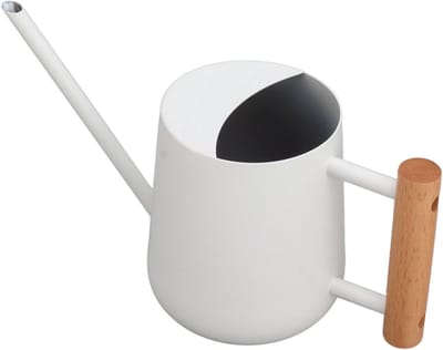 Plantengieter Roestvrij Staal - Waterpot Bloemen - Planten Water Geven - Lange Flexibele Tuit - 900 Ml Inhoud - Wit