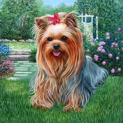 Diamant schilderij langharige hond 5D DIY diamant borduurwerk dieren foto van strass borduurpakket decor thuis 30X30CM brown