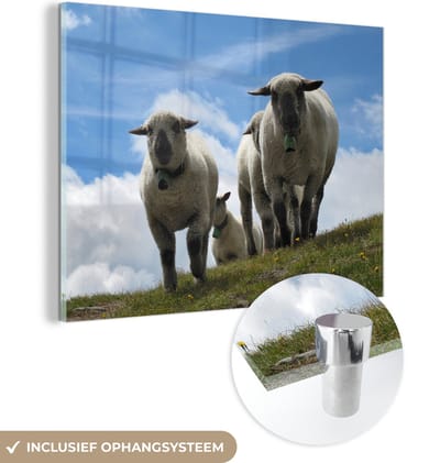 MuchoWow® Glasschilderij 40x30 cm - Schilderij acrylglas - Schapen - Berg - Alpen - Foto op glas - Schilderijen