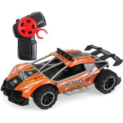Racebuggy 1:24 RC RC Auto's
