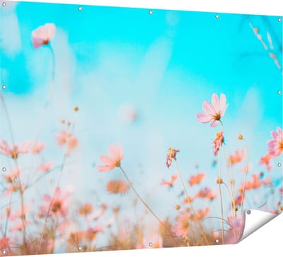 Gards Tuinposter Paarse Kosmos Bloemen - 160x120 cm - Tuindoek - Tuindecoratie - Wanddecoratie buiten - Tuinschilderij