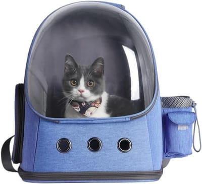Huisdier Rugzak - Draagtas Kat - Veilige Uitjes - Transparant Ademend - 36x8x44 cm - Blauw