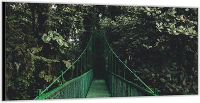 Dibond –Groene Brug in de Bossen– 200x100 Foto op Aluminium (Wanddecoratie van metaal)