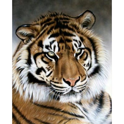 Broderie Diamant 5D DIY Peinture Diamant Tigre Ronde Complète/Foret Rond Peinture Mosaïque 30X40CM