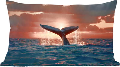Sierkussens - Kussentjes Woonkamer - 60x40 cm - Walvis staart - Water - Zonsondergang