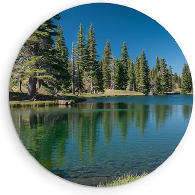 Saammp Muurcirkel Hout - Meer tussen de bomen - Landschap - Natuur - Ø 90 - Wandcirkel - Wanddecoratie Cirkel - Muurdecoratie Woonkamer - Slaapkamer decoratie - Rond Schilderij