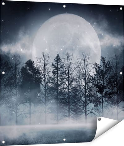 Gards Tuinposter Maan tussen de Bomen in de Nacht - 90x90 cm - Tuindoek - Tuindecoratie - Wanddecoratie buiten - Tuinschilderij