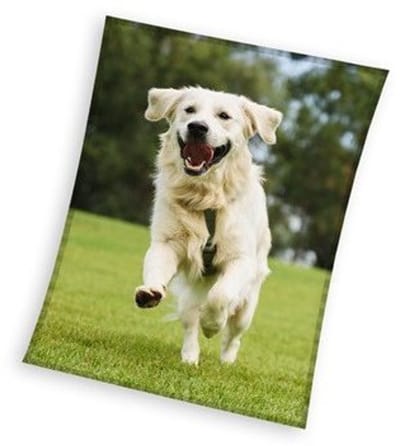 Sweet Home fleeceplaid hond groen 150x200cm