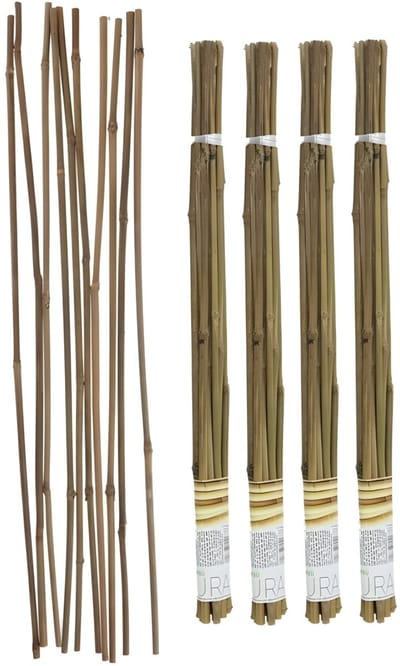 Gerimport Plantenstokken - 40x stuks - bamboe - 60 cm - plantensteun / tonkinstokken