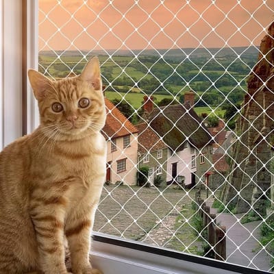 Balkonnet voor Katten - Sterk Kattennet Beveiliging voor Balkon en Terras (6x3m, Wit)