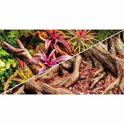 Hobby Foto achterwand Colorful Jungle Strangler Fig aquarium | 50cm x 25m | dubbelzijdige jungle poster