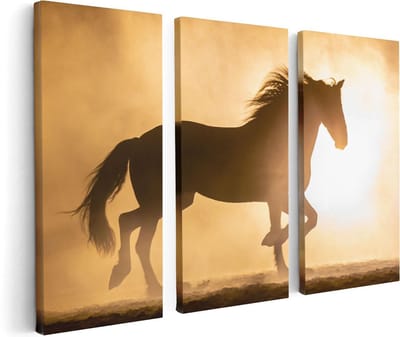 Artaza Canvas Schilderij Drieluik Silhouet Van Een Paard - 120x80 - Foto Op Canvas - Canvas Print