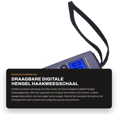 Dailygoods- Hengelweegschaal 40kg - Draagbaar - Digitale Weegschaal - LCD Scherm - Roestvrij Stalen Haak - Achtergrondverlichting - Visschaal