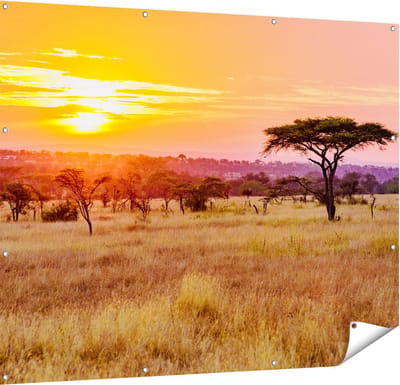 Gards Tuinposter Zonsondergang in de Savanne - 150x120 cm - Tuindoek - Tuindecoratie - Wanddecoratie buiten - Tuinschilderij