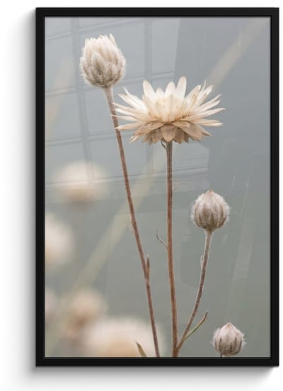 Poster in lijst - Fotolijst 60x90 cm - Posters - Strobloemen - Wit - Daglicht - Posterlijst zwart - Decoratie - Wanddecoratie woonkamer - Muurdecoratie slaapkamer