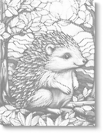 Egel | Dot painting | 40x50cm | Dot painting | Oh My Dotz | Dots stippen | Diamond painting & Schilderen op nummer alternatief | Happy hobby