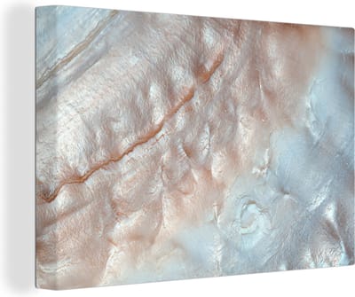 Canvas Schilderij Schelpen - Abstract - Natuur - 30x20 cm - Wanddecoratie