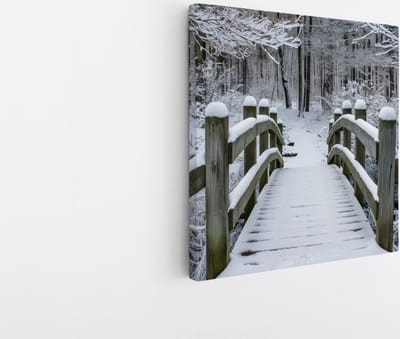 Saammp Canvas Schilderij - Brug in de winter - Landschap - Natuur - 20x20 - Foto op canvas - Wanddecoratie - Muurdecoratie Woonkamer - Slaapkamer decoratie - Canvas Print