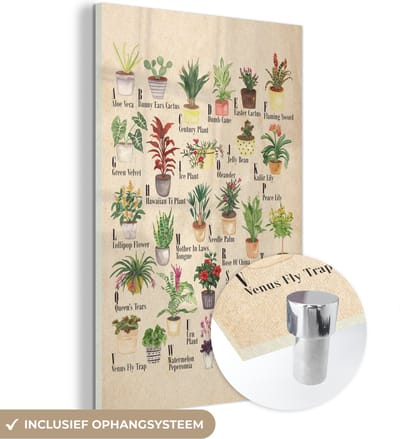 MuchoWow® Glasschilderij 120x180 cm - Schilderij acrylglas - Alfabet - Planten - Cactus - Educatief - Bruin - Kinderen - Kids - Foto op glas - Schilderijen