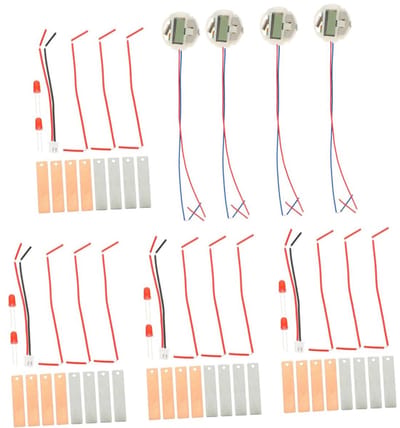 Fruit Batterij Kit - Wetenschaps Experiment - Educatief Project - Praktische Introductie STEM - 4 Sets - Diverse Kleuren