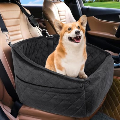 Dailygoody - Hondenautostoel - Verhoogd Hondenzitje - Comfortabel en Duurzaam - Zwart - Autostoeltje voor Honden - Geschikt voor Kleine en Middelgrote