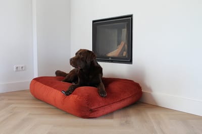 Dog's Companion Hondenkussen / Hondenbed - XS - 55 x 45 cm - Brique double Ribcord